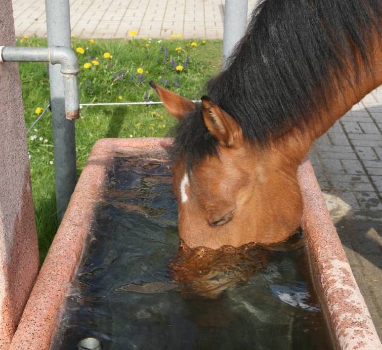 Lasst euch nicht von Diagnosen ins Bockshorn jagen!