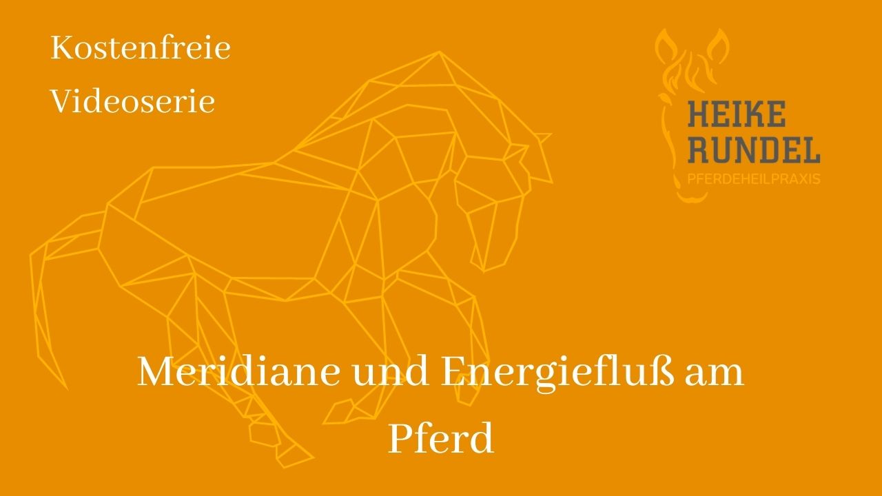 Bild Videoserie