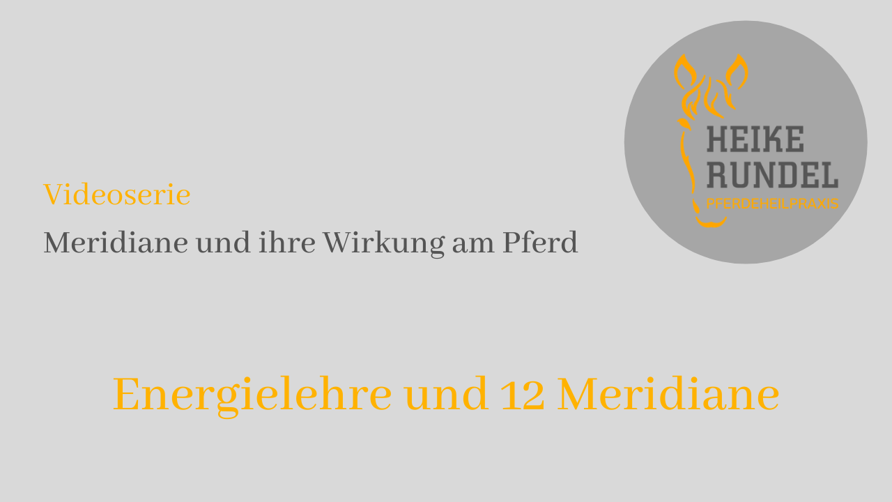 Meridiane und ihre Wirkung am Pferd Header Meridiane und ihre Wirkung am Pferd