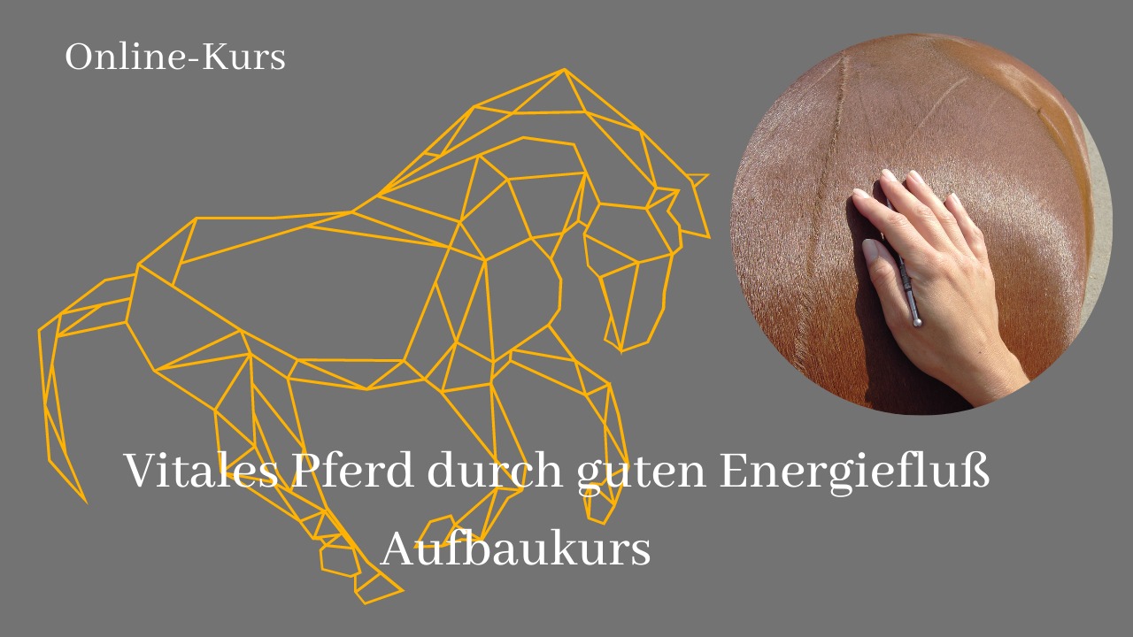 Header Aufbaukurs