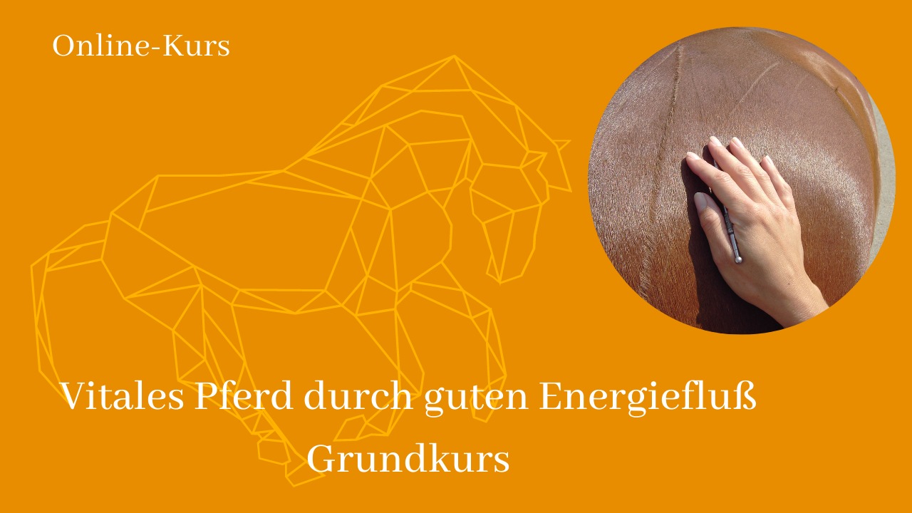 Akupunkt Massage nach Penzel am Pferd für Pferdebesitzer