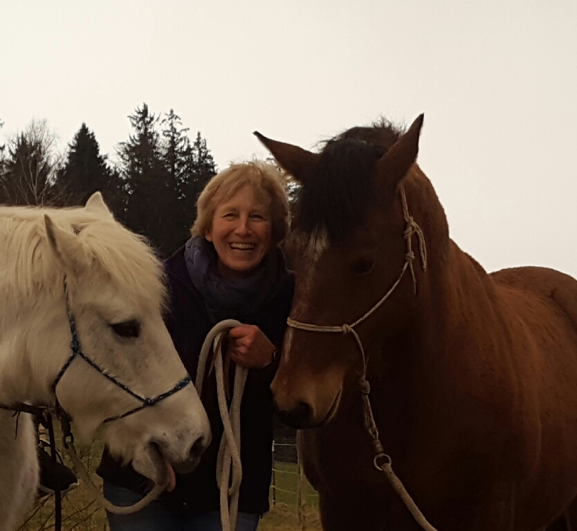 Barbara und ihre Pferde
