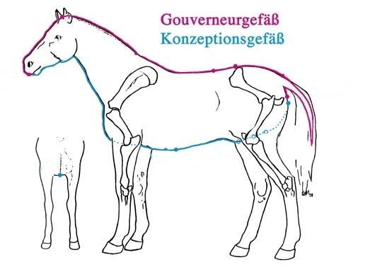 GG+KG_ohne Punkte