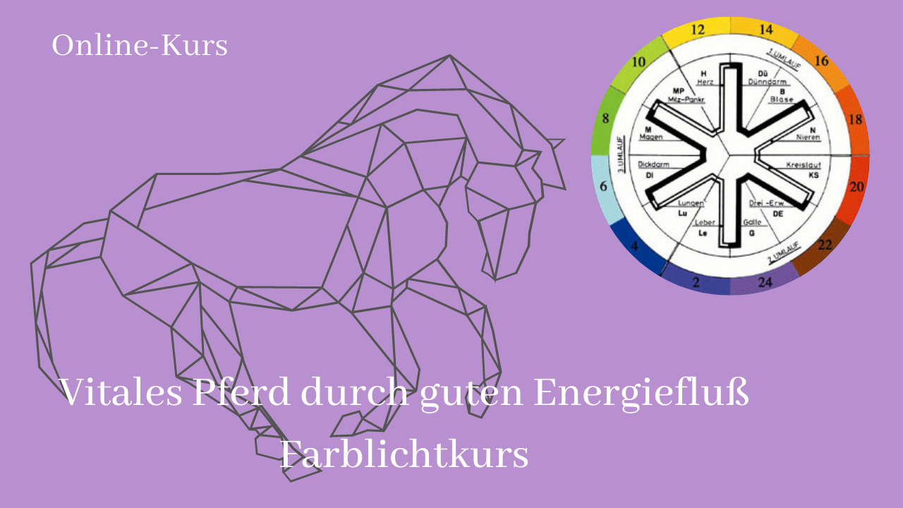 Header Farblichtkurs