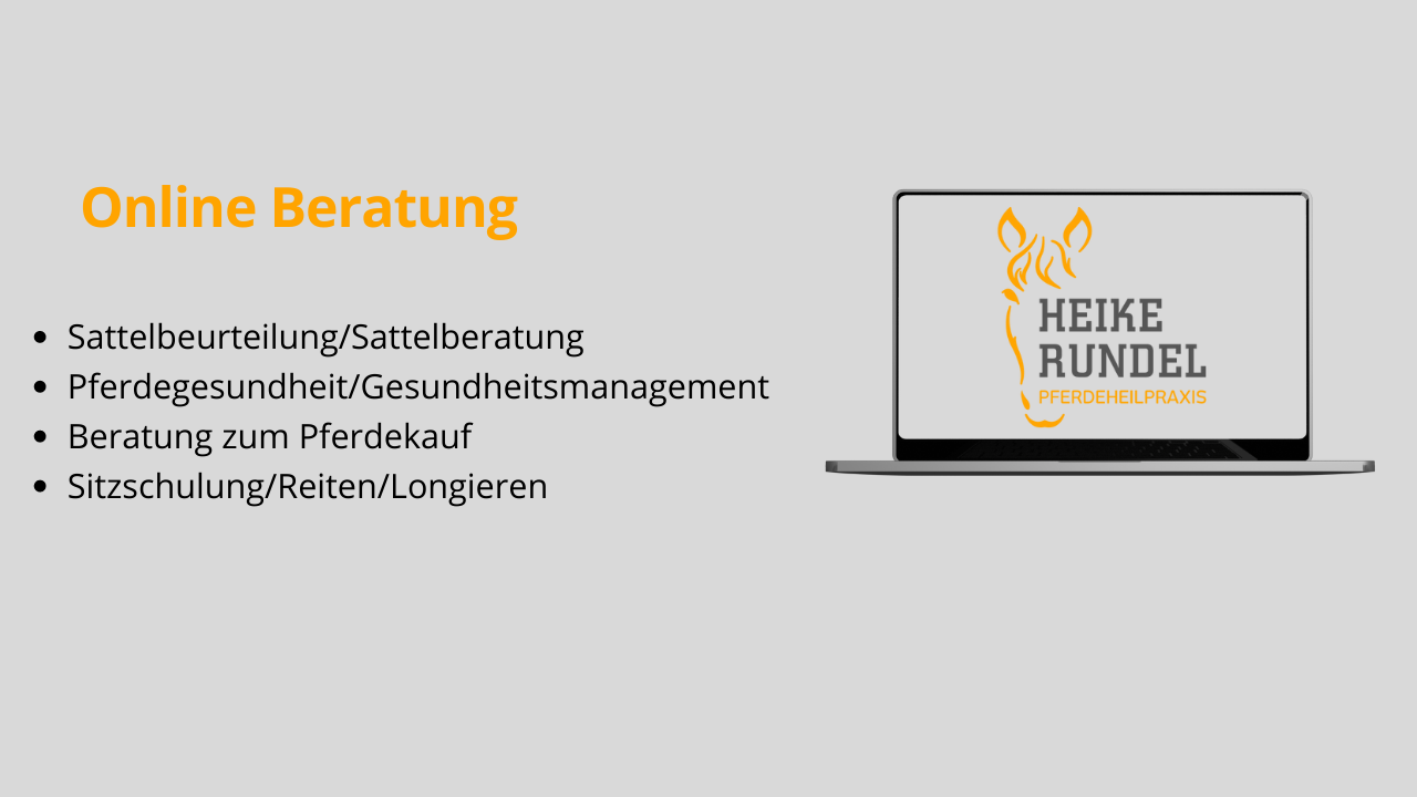 Thumbnail Online Beratung