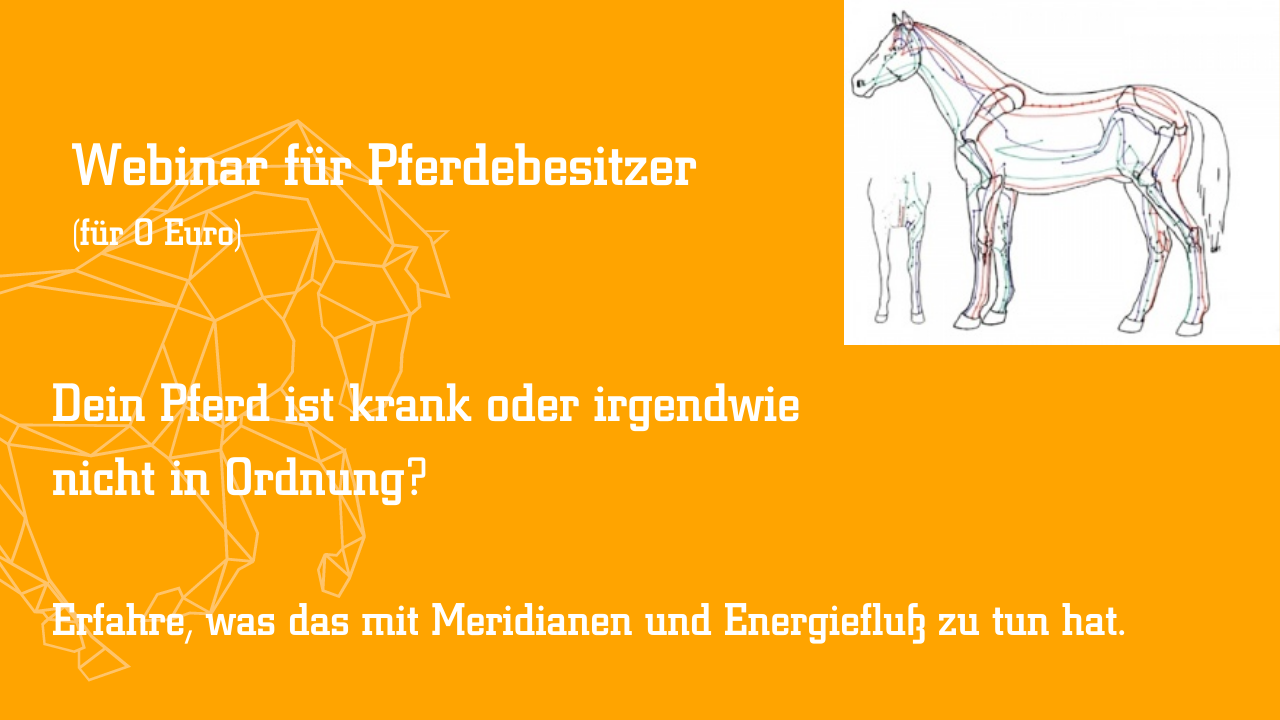 Header Webinar Basiskurs Februar 2023
