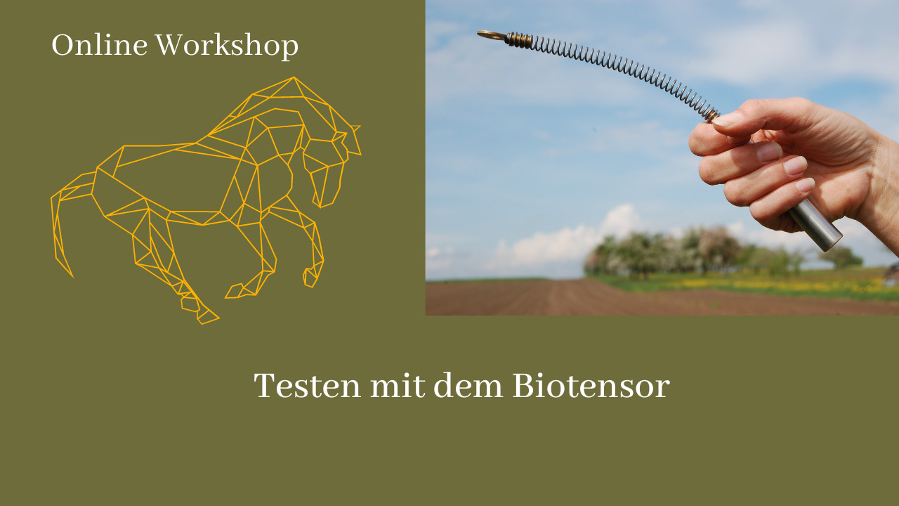 Header Testen mit dem Biotensor