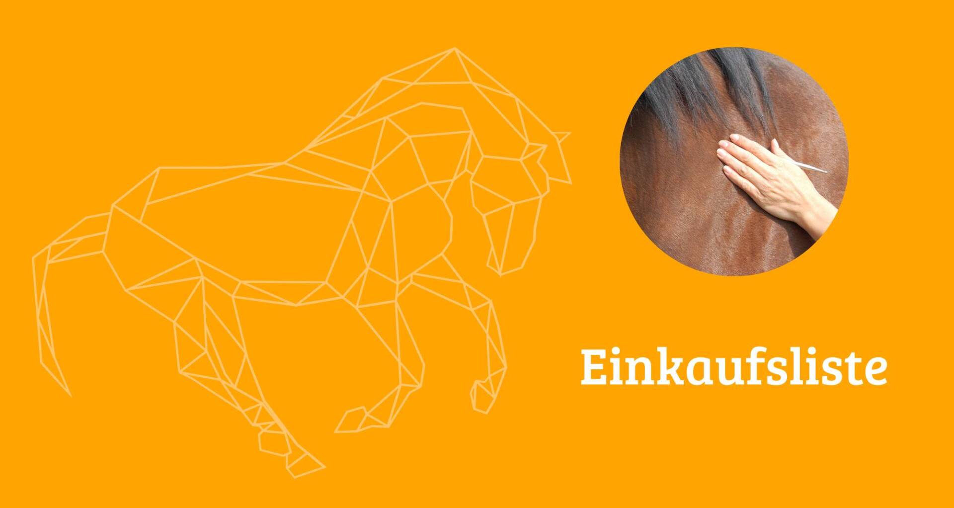 Einkaufsliste Basiskurs