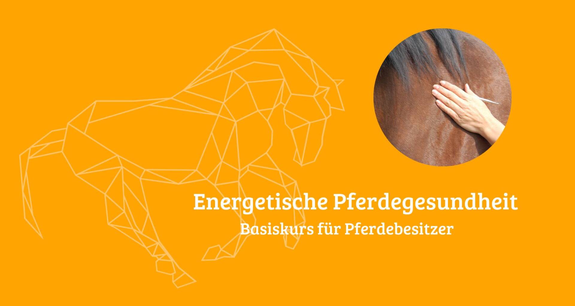 Energetische Pferdegesundheit - Basiskurs für Pferdebesitzer Energetische Pferdegesundheit Basiskurs für Pferdebesitzer