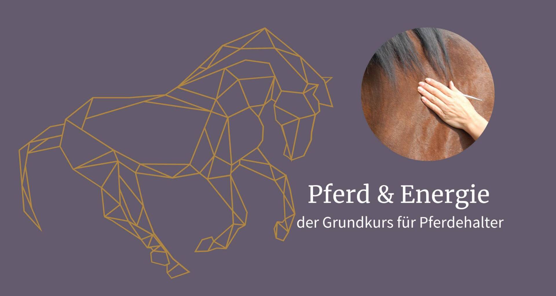 Cover - Pferd und Energie der Grundkurs für Pferdehalter Pferd & Energie - der Grundkurs für Pferdehalter