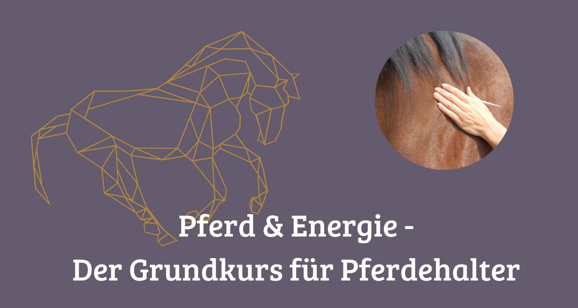 Cover - Pferd und Energie der Grundkurs für Pferdehalter (6) Pferd und Energie Der Grundkurs für Pferdehalter