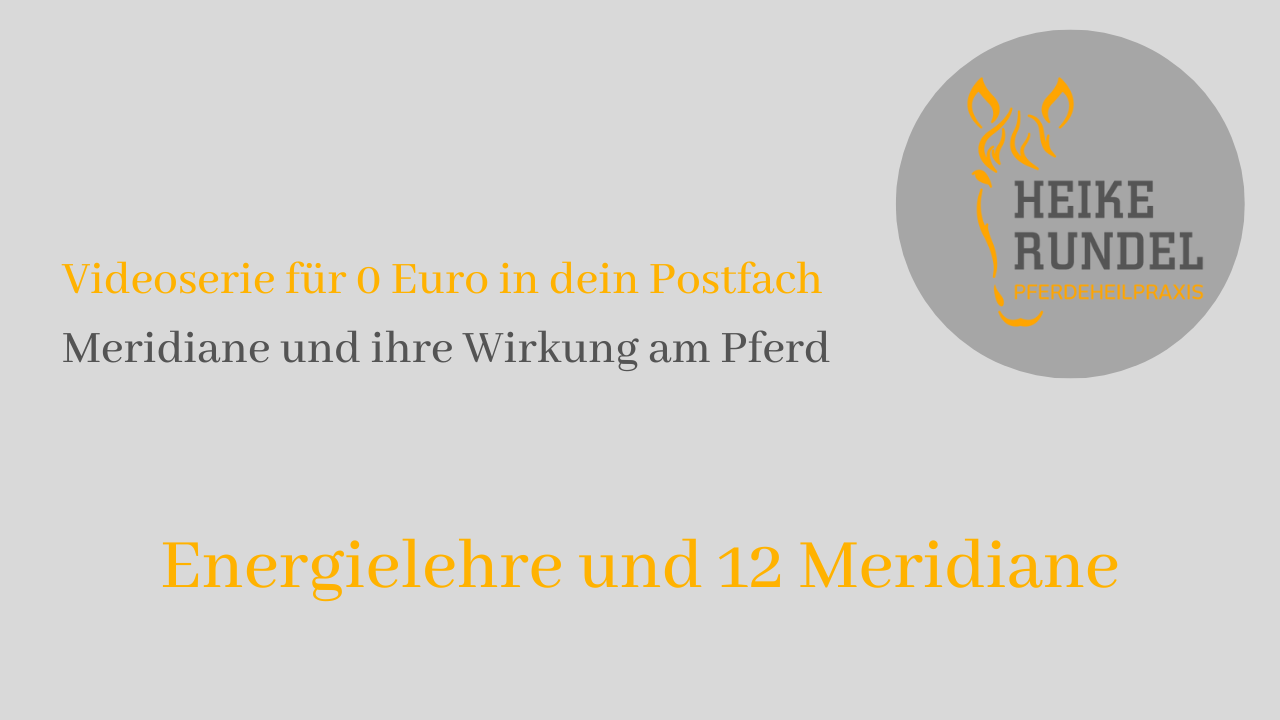 Meridiane und ihre Wirkung am Pferd