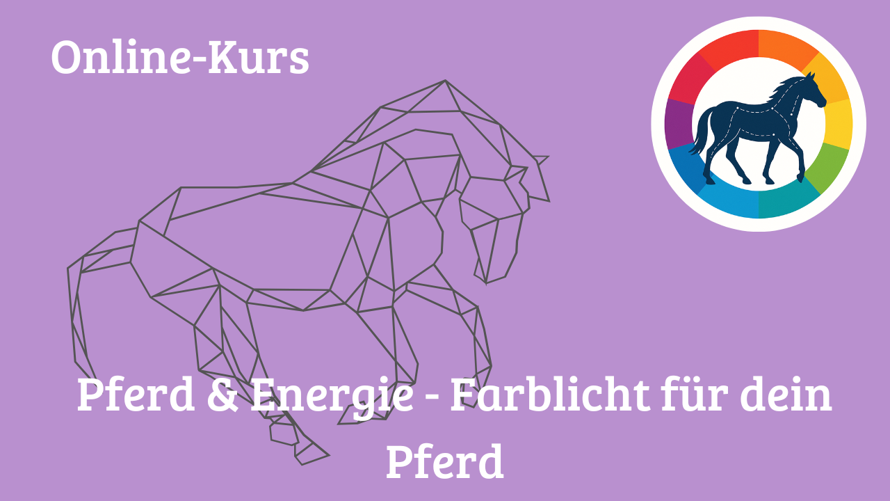 Header Pferd & Energie Farblicht für dein Pferd (1) Pferd & Energie Farblicht für dein Pferd